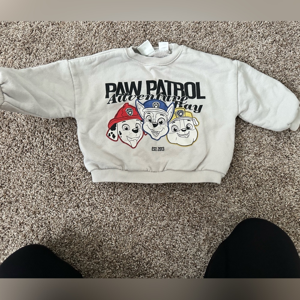 Zara Gray Graphic Sweatshirt read for sizing